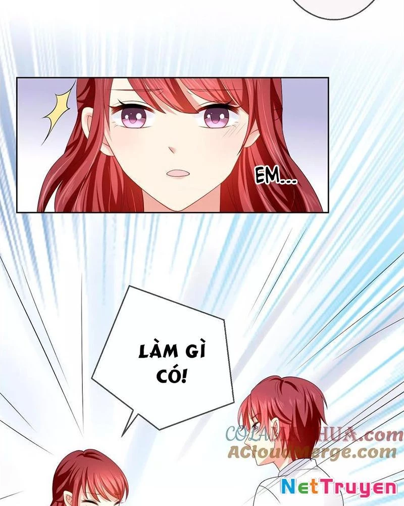 Bạn Cùng Bàn Của Tôi Nổi Tiếng Là Mèo Chapter 16 - Trang 2