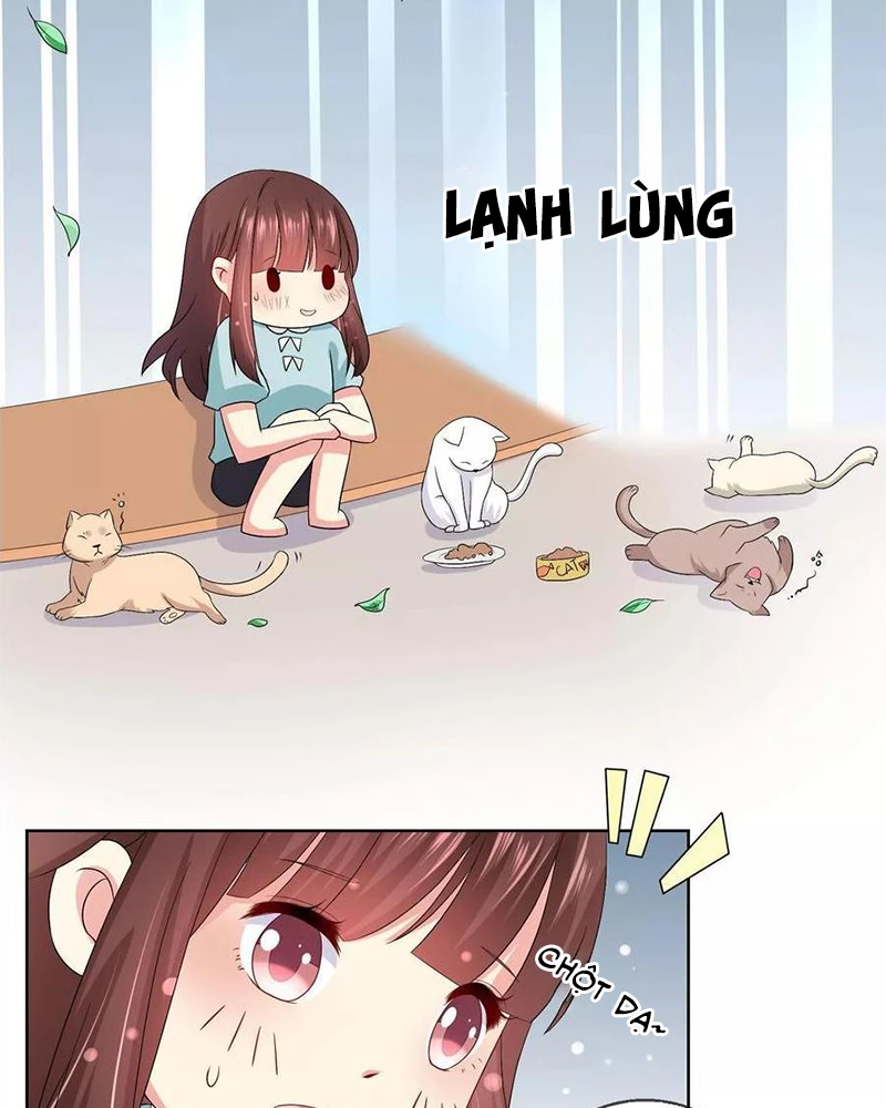 Bạn Cùng Bàn Của Tôi Nổi Tiếng Là Mèo Chapter 20 - Trang 2