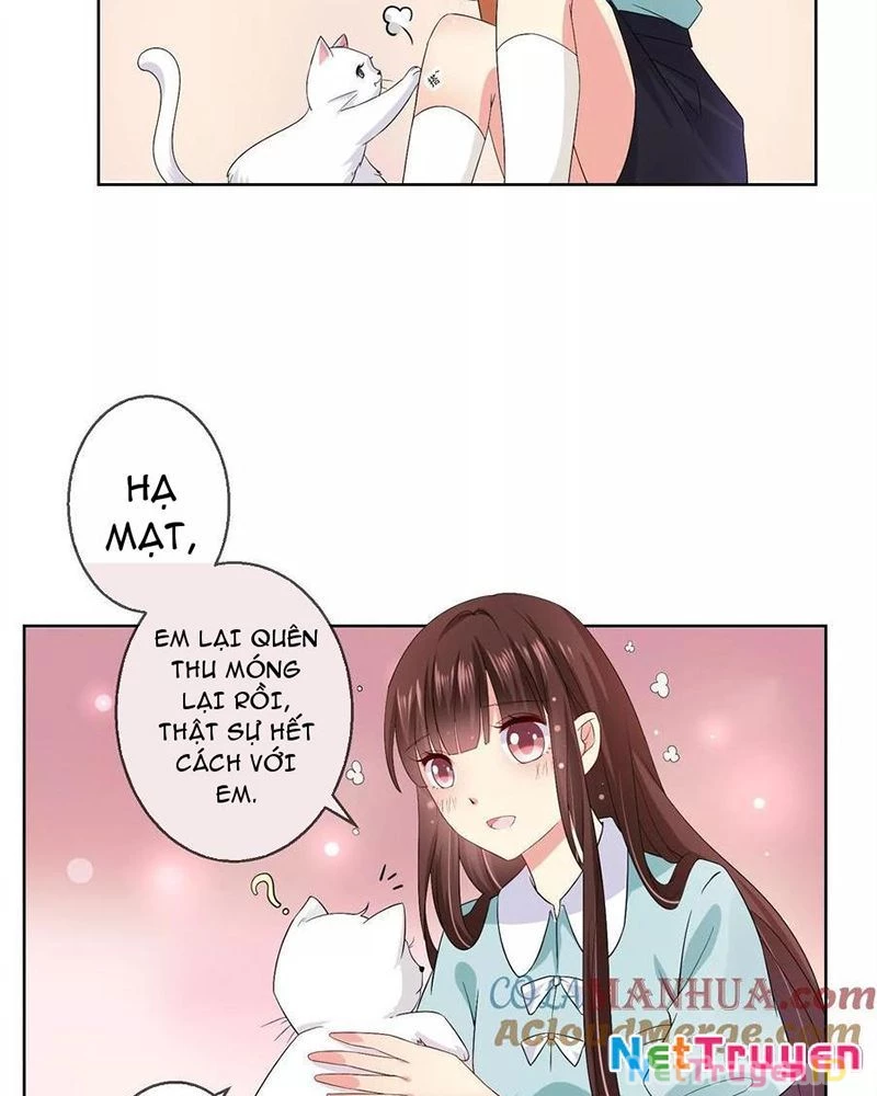 Bạn Cùng Bàn Của Tôi Nổi Tiếng Là Mèo Chapter 20 - Trang 2