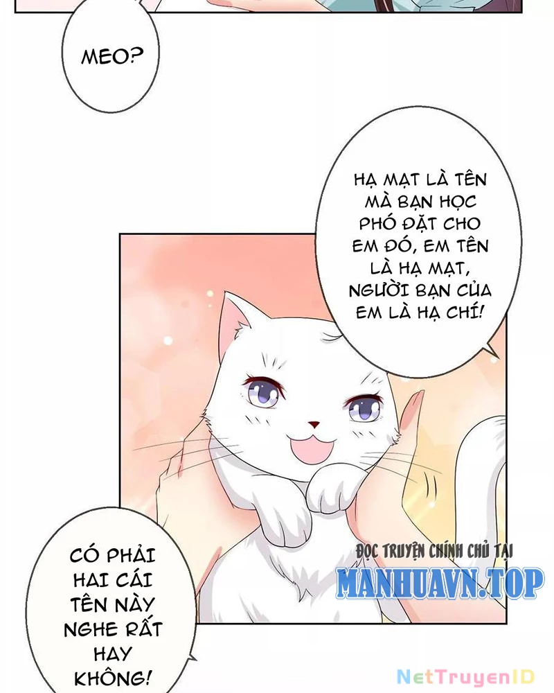 Bạn Cùng Bàn Của Tôi Nổi Tiếng Là Mèo Chapter 20 - Trang 2