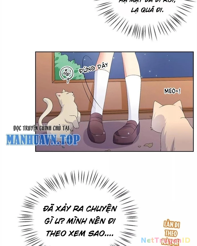 Bạn Cùng Bàn Của Tôi Nổi Tiếng Là Mèo Chapter 20 - Trang 2