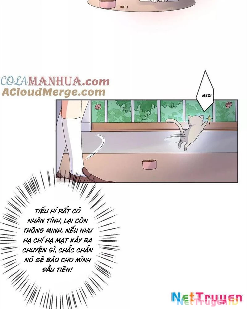 Bạn Cùng Bàn Của Tôi Nổi Tiếng Là Mèo Chapter 21 - Trang 2