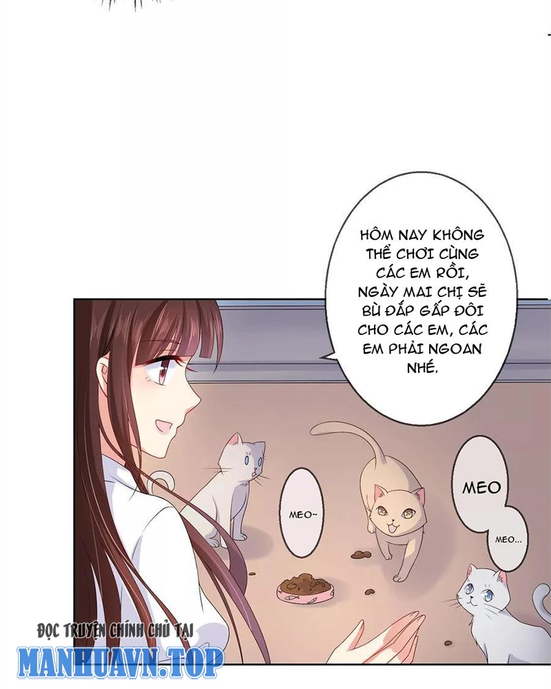 Bạn Cùng Bàn Của Tôi Nổi Tiếng Là Mèo Chapter 21 - Trang 2
