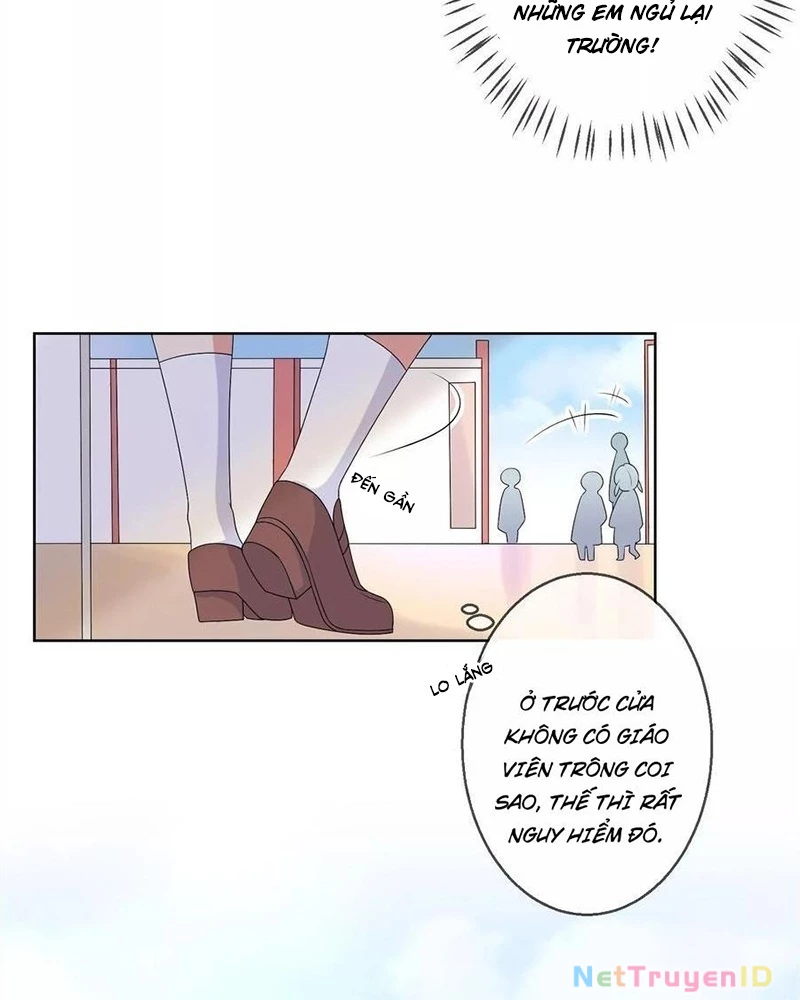 Bạn Cùng Bàn Của Tôi Nổi Tiếng Là Mèo Chapter 21 - Trang 2