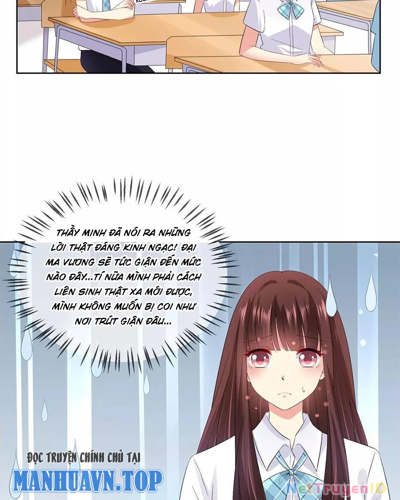Bạn Cùng Bàn Của Tôi Nổi Tiếng Là Mèo Chapter 24 - Trang 2