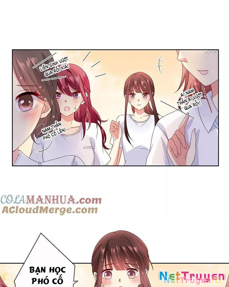 Bạn Cùng Bàn Của Tôi Nổi Tiếng Là Mèo Chapter 26 - Trang 2