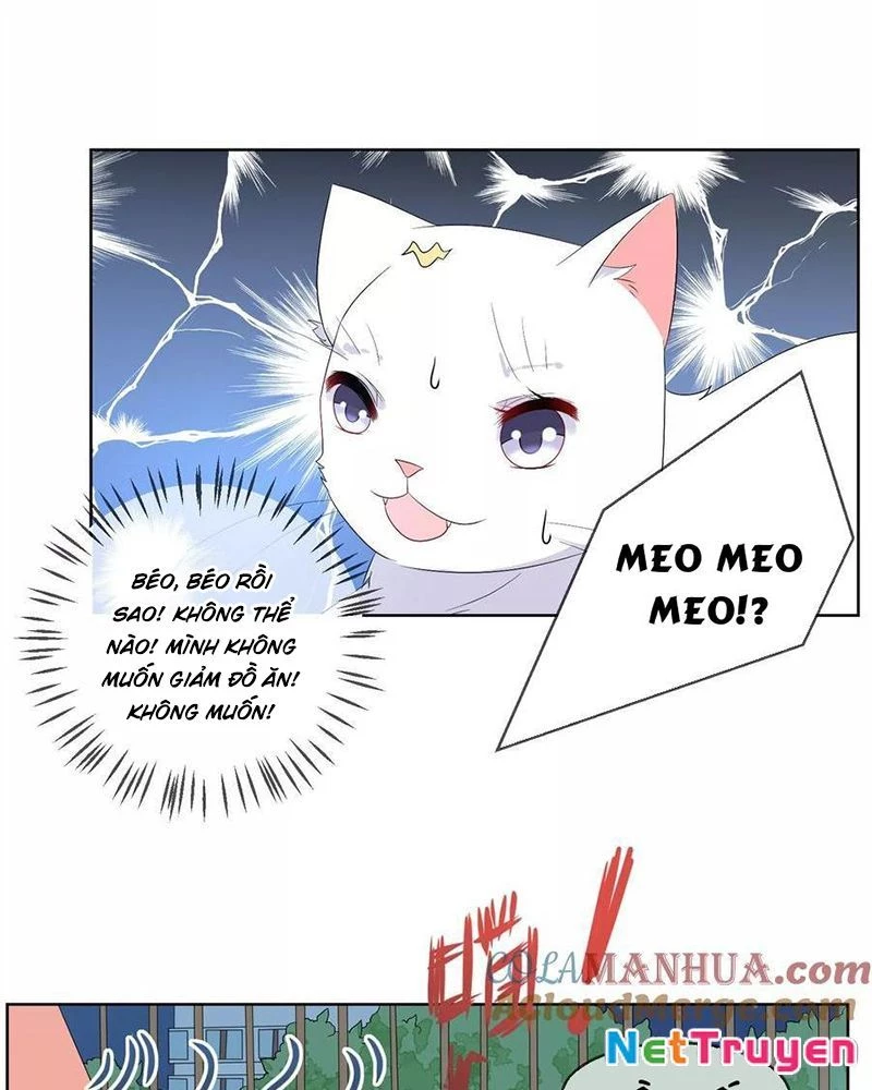 Bạn Cùng Bàn Của Tôi Nổi Tiếng Là Mèo Chapter 27 - Trang 2