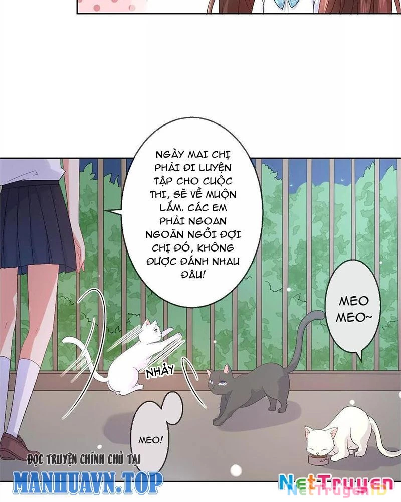 Bạn Cùng Bàn Của Tôi Nổi Tiếng Là Mèo Chapter 27 - Trang 2