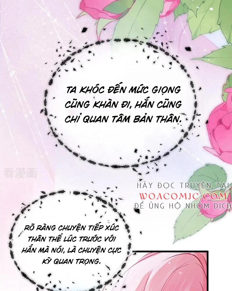 Sau Khi Công Chúa Bội Tình Bạc Nghĩa Chapter 65 - Trang 4