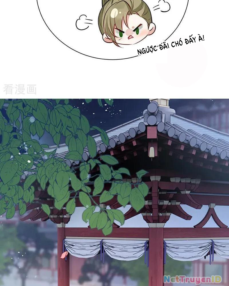 Sau Khi Công Chúa Bội Tình Bạc Nghĩa Chapter 76 - Trang 4