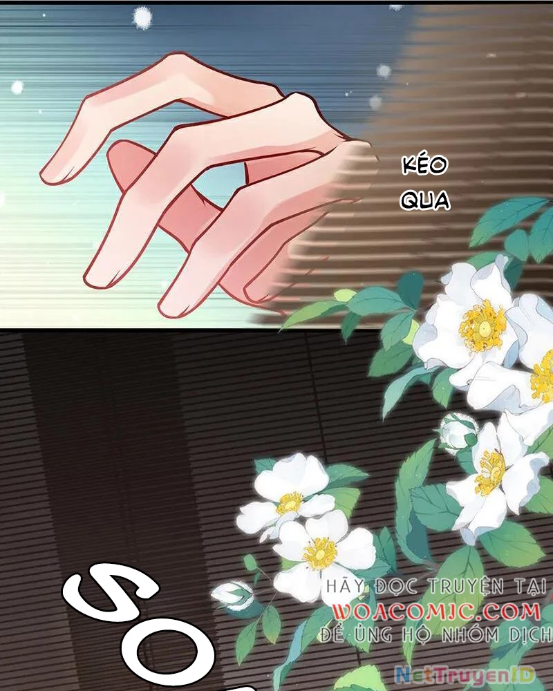 Sau Khi Công Chúa Bội Tình Bạc Nghĩa Chapter 76 - Trang 4