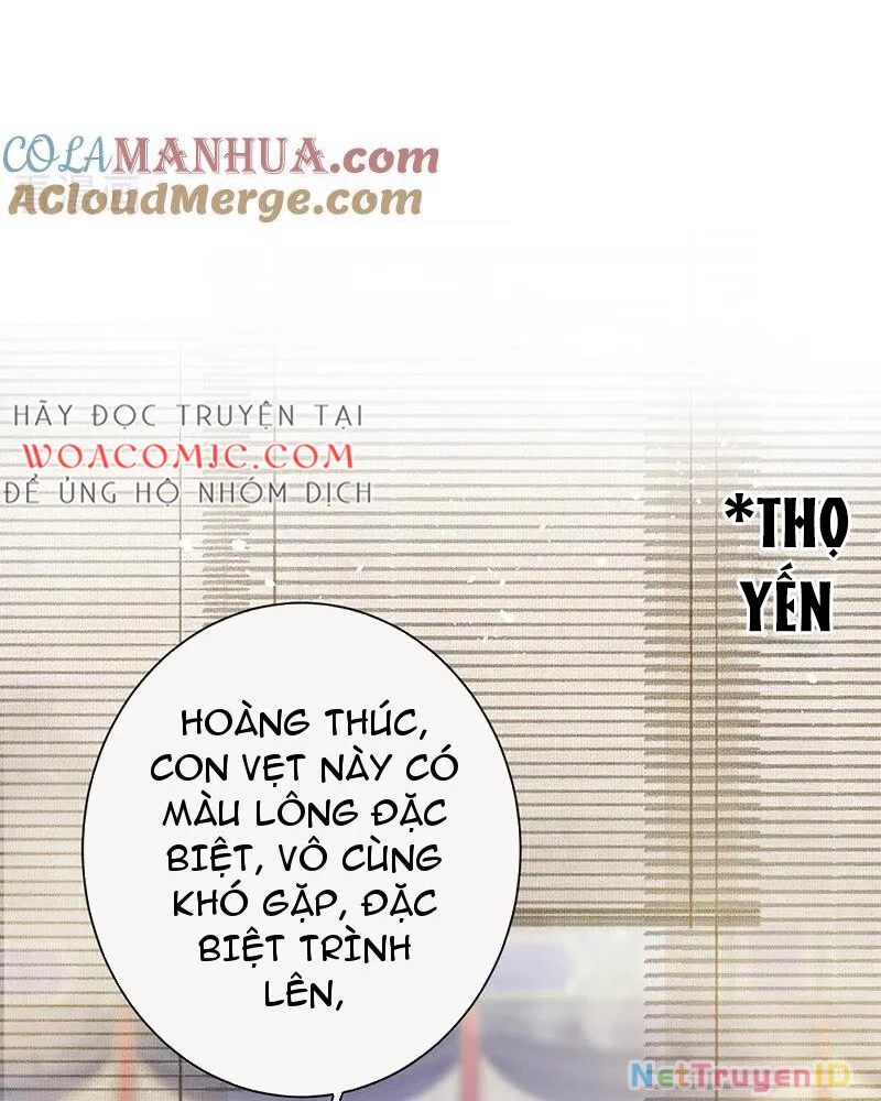 Sau Khi Công Chúa Bội Tình Bạc Nghĩa Chapter 78 - Trang 4