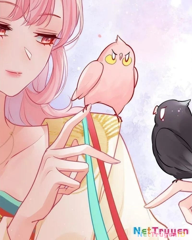 Sau Khi Công Chúa Bội Tình Bạc Nghĩa Chapter 105 - Trang 4