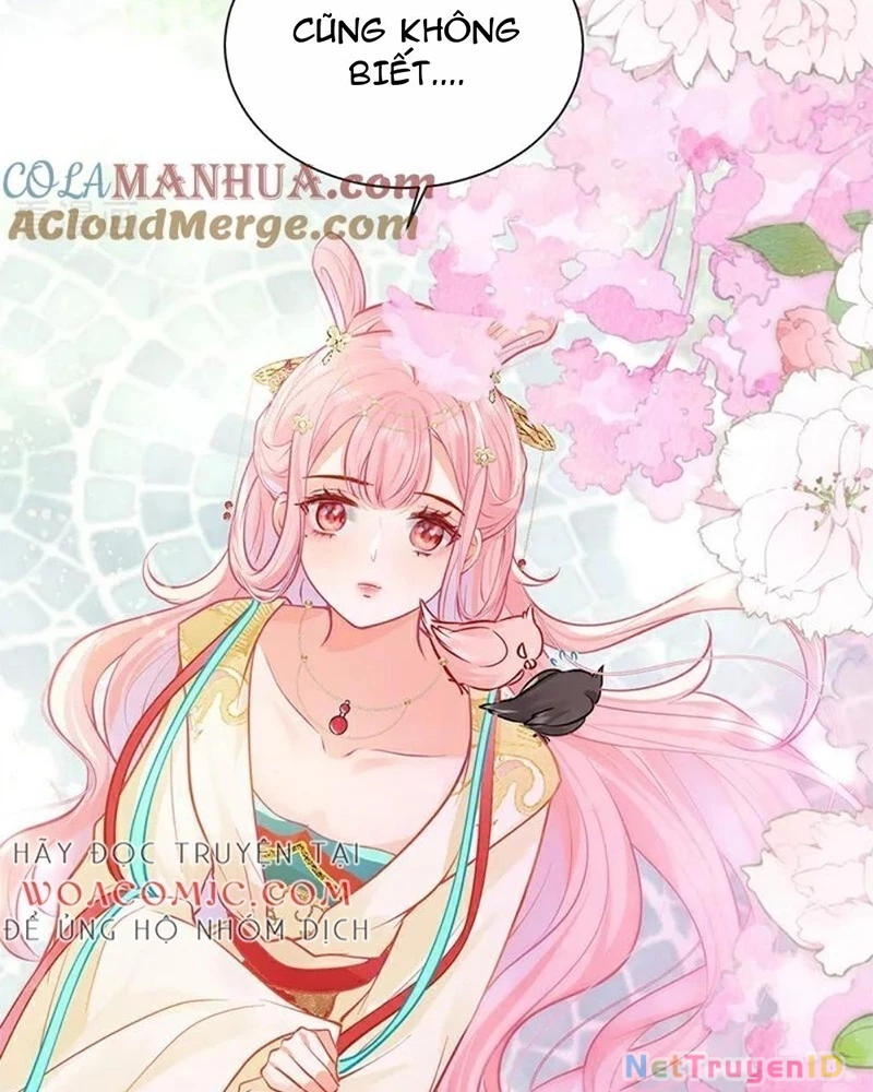 Sau Khi Công Chúa Bội Tình Bạc Nghĩa Chapter 105 - Trang 4