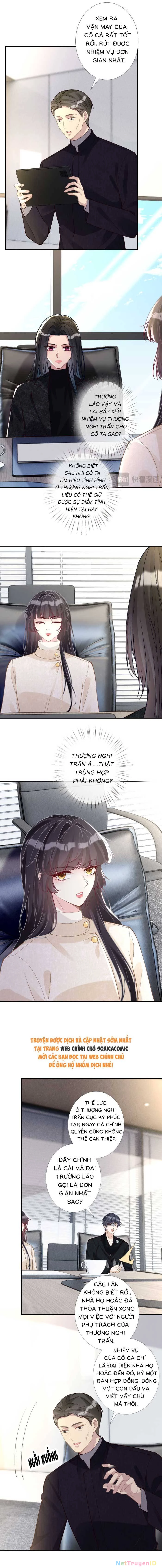 Ôm Khẩn Tiểu Mã Giáp Của Tôi Chapter 355 - Trang 4