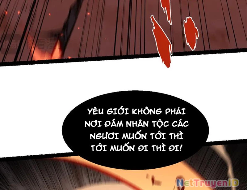Đỉnh Cấp Khí Vận, Lặng Lẽ Tu Luyện Ngàn Năm Chapter 207 - Trang 2