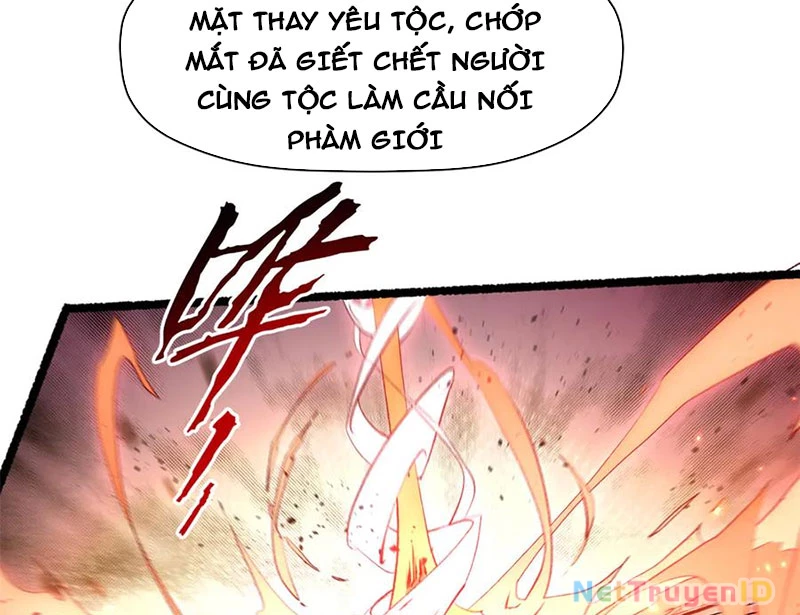 Đỉnh Cấp Khí Vận, Lặng Lẽ Tu Luyện Ngàn Năm Chapter 207 - Trang 2