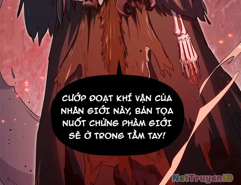 Đỉnh Cấp Khí Vận, Lặng Lẽ Tu Luyện Ngàn Năm Chapter 207 - Trang 2