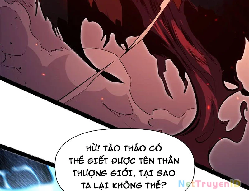 Đỉnh Cấp Khí Vận, Lặng Lẽ Tu Luyện Ngàn Năm Chapter 207 - Trang 2