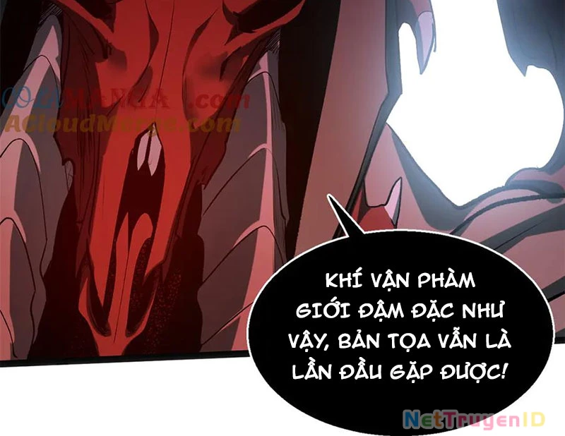 Đỉnh Cấp Khí Vận, Lặng Lẽ Tu Luyện Ngàn Năm Chapter 207 - Trang 2