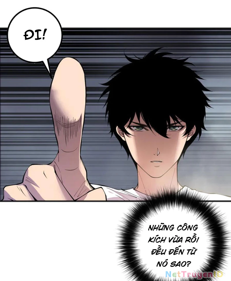 Thảm Họa Tử Linh Sư Chapter 162 - Trang 4