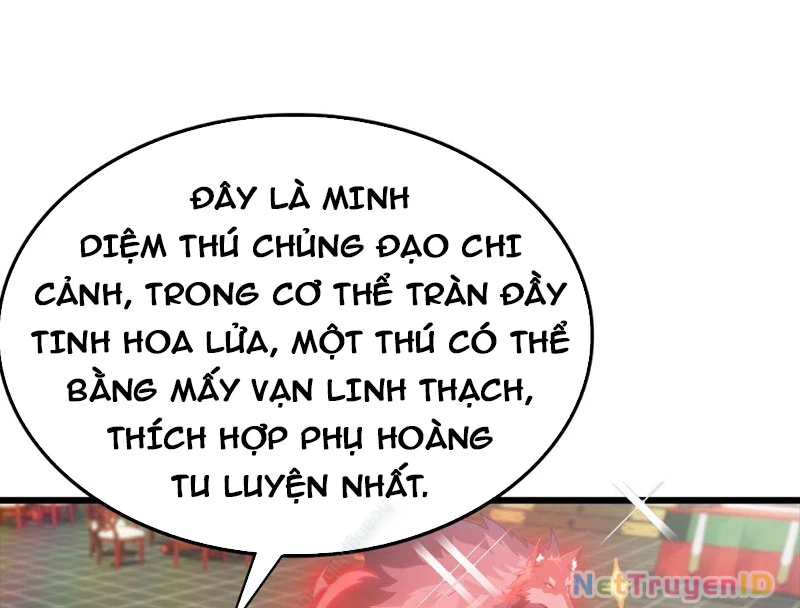 Tu Tiên Trở Về Tại Vườn Trường - Phần 2 Chapter 137 - Trang 2