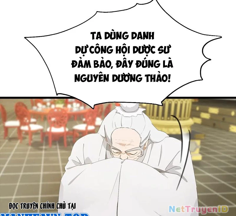 Tu Tiên Trở Về Tại Vườn Trường - Phần 2 Chapter 138 - Trang 2