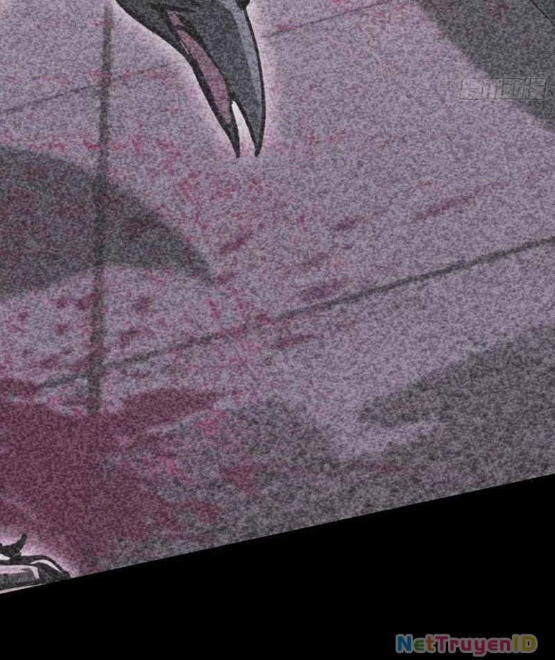 Ảo Ma! Ta Mở Lớp Huấn Luyện Nữ Đế! Chapter 82 - Trang 3