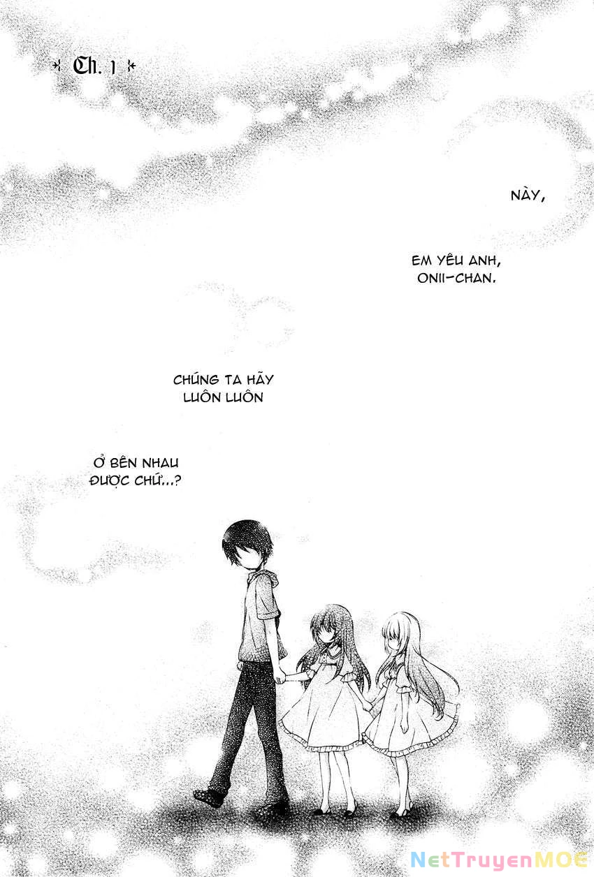 Gisou Honey Trap Chapter 1 - Next Chapter 2