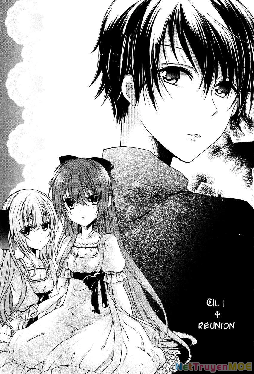Gisou Honey Trap Chapter 1 - Next Chapter 2