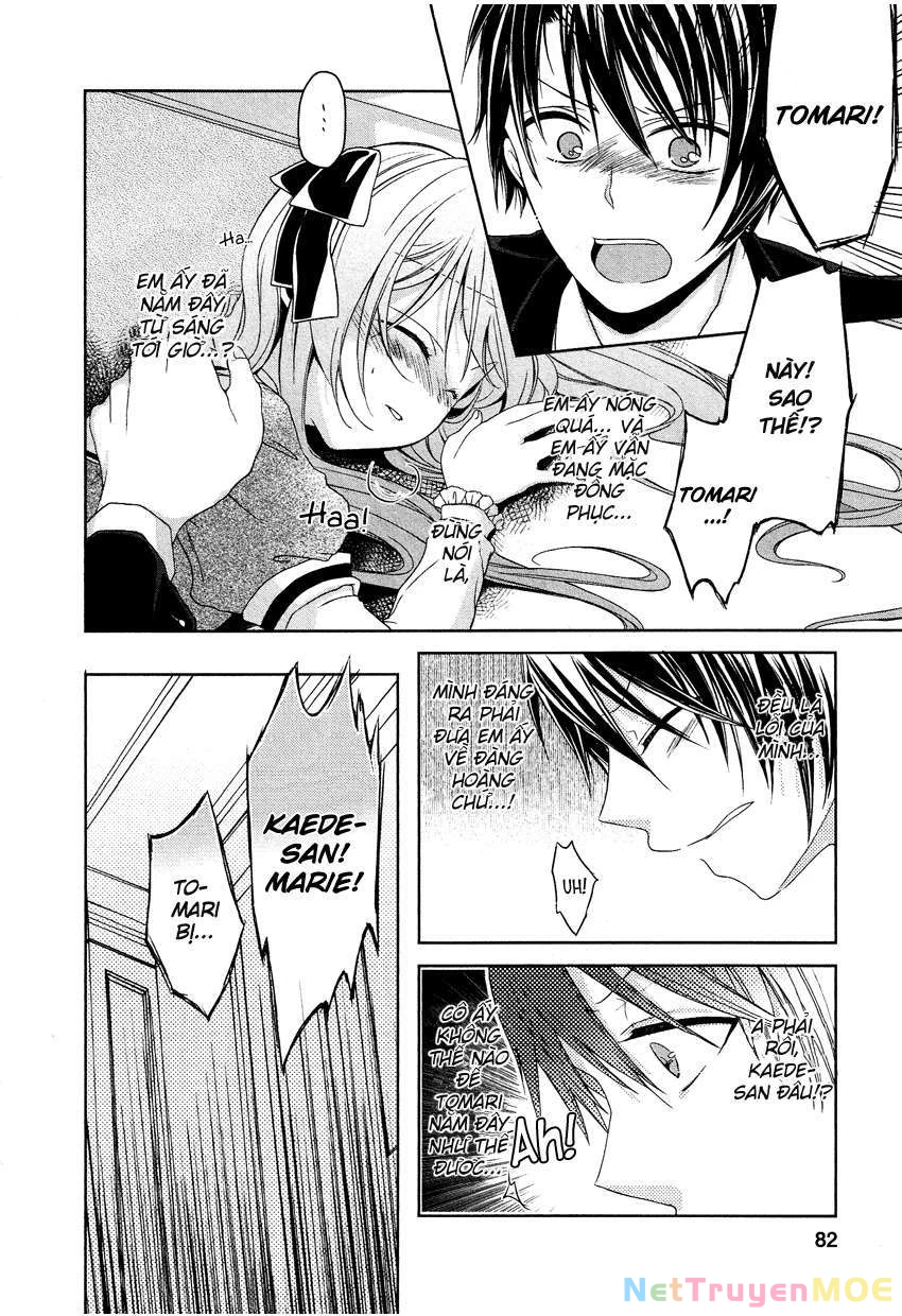 Gisou Honey Trap Chapter 4 - Next Chapter 5