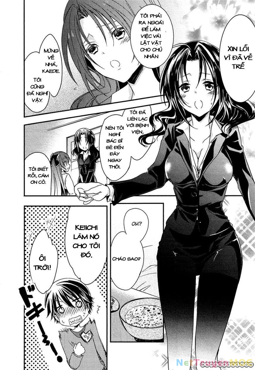 Gisou Honey Trap Chapter 5 - Next Chapter 6
