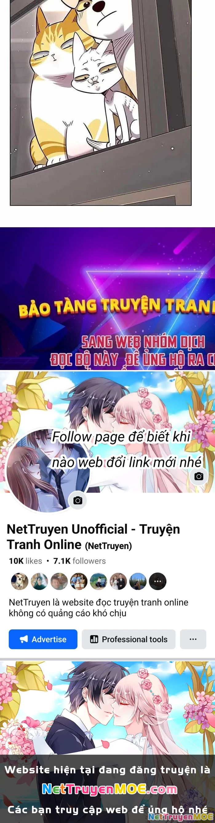 Hoá Thân Thành Mèo Chapter 340 - Next Chapter 341