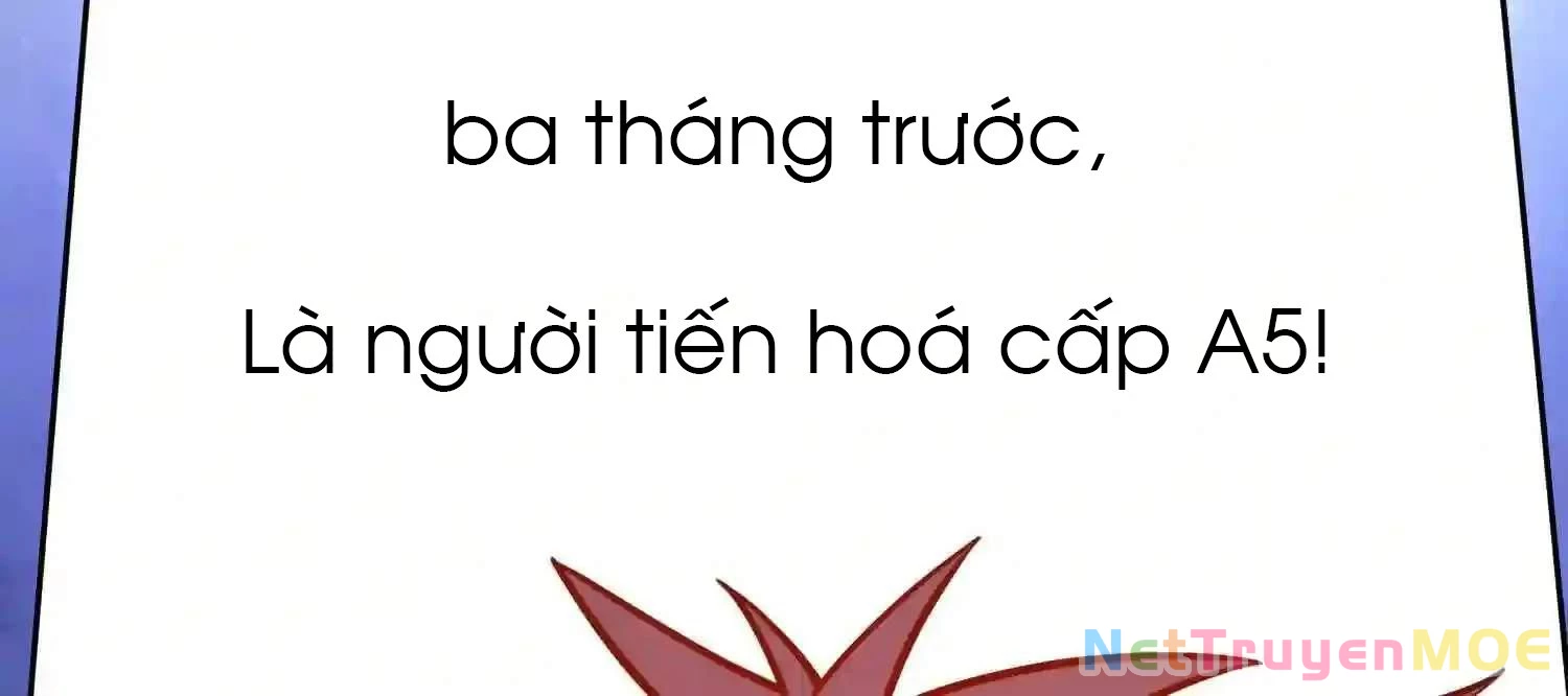 Mắt Phải Của Ta Là Thần Cấp Máy Tính Chapter 143 - Trang 2