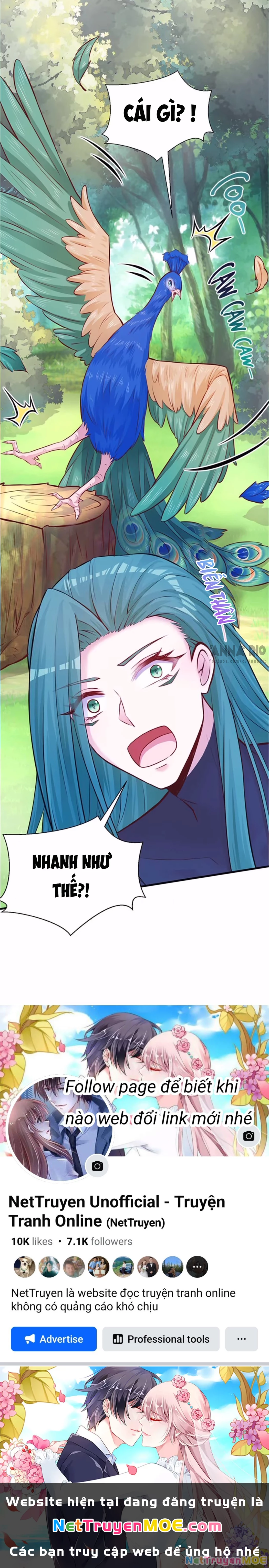 Thảnh Thơi Thú Thế Chủng Chủng Điền, Sinh Sinh Tể Chapter 495 - Trang 2