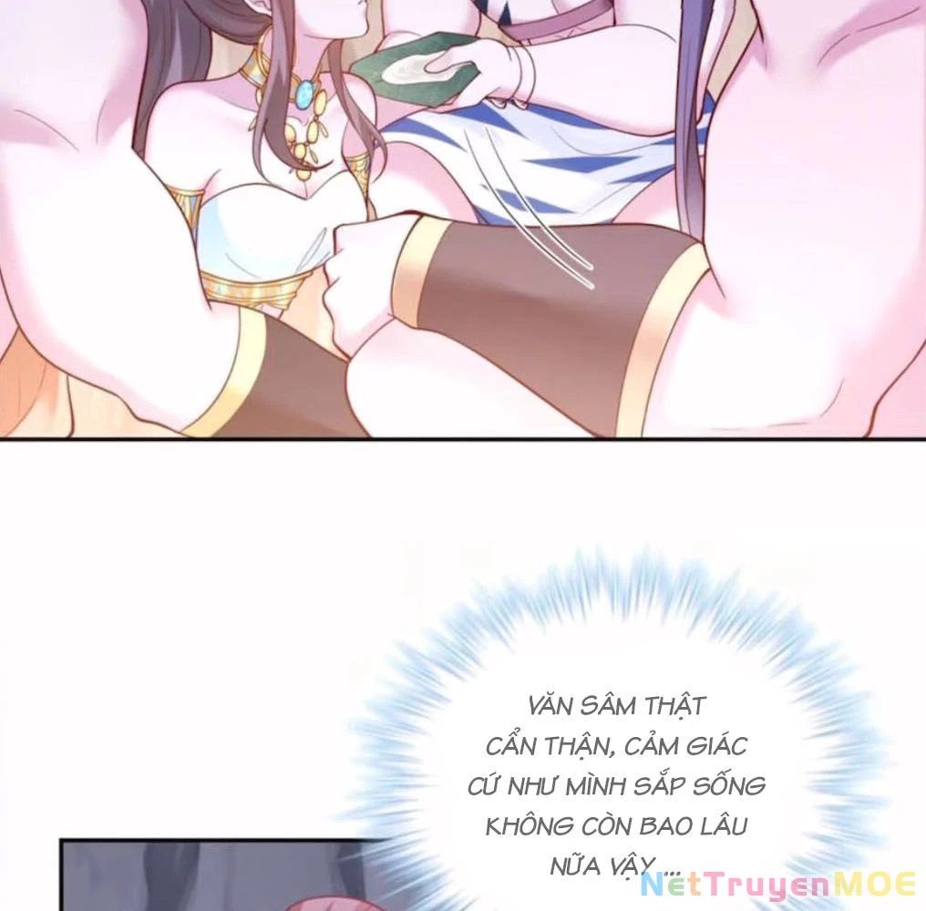Thảnh Thơi Thú Thế Chủng Chủng Điền, Sinh Sinh Tể Chapter 659 - Trang 2