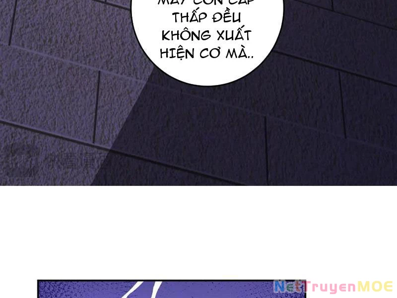 Mạt Nhật Thiên Hạ: Ta, Virus Quân Vương Chapter 56 - Trang 4