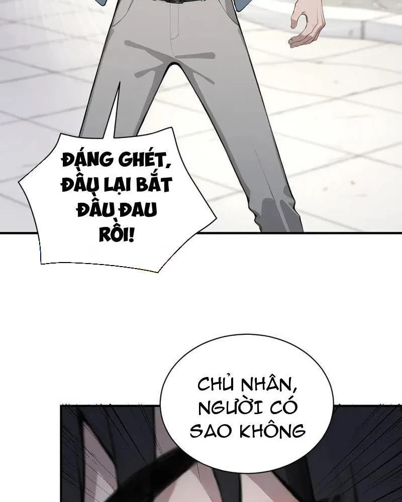 Vô Địch Bắt Đầu Từ Trúc Cơ Chapter 52 - Trang 3