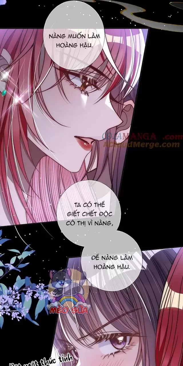 Nuông Chiều Mỹ Nhân Cuồng Nhiệt Chapter 13 - Trang 3