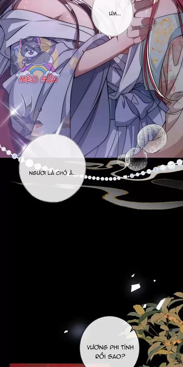 Nuông Chiều Mỹ Nhân Cuồng Nhiệt Chapter 13 - Trang 3
