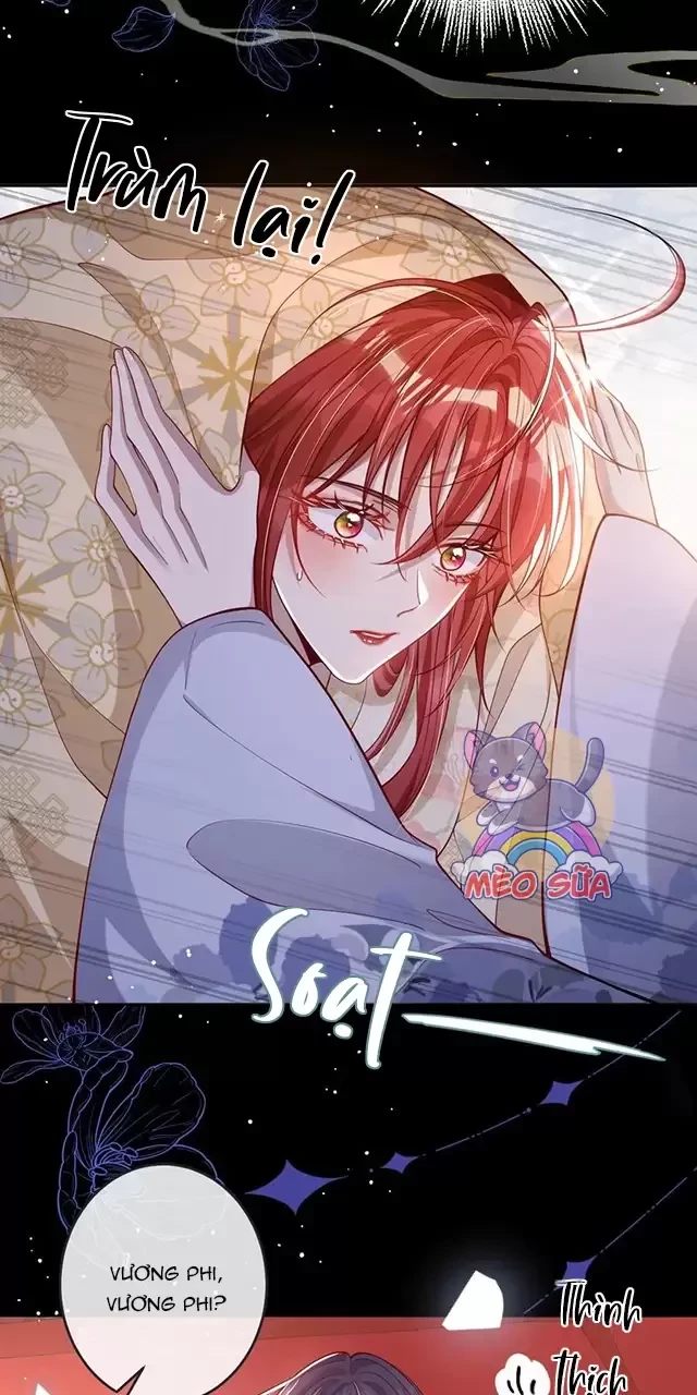 Nuông Chiều Mỹ Nhân Cuồng Nhiệt Chapter 13 - Trang 3