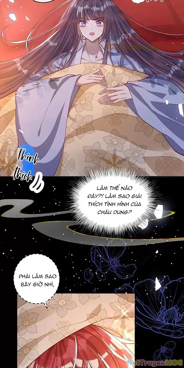 Nuông Chiều Mỹ Nhân Cuồng Nhiệt Chapter 13 - Trang 3