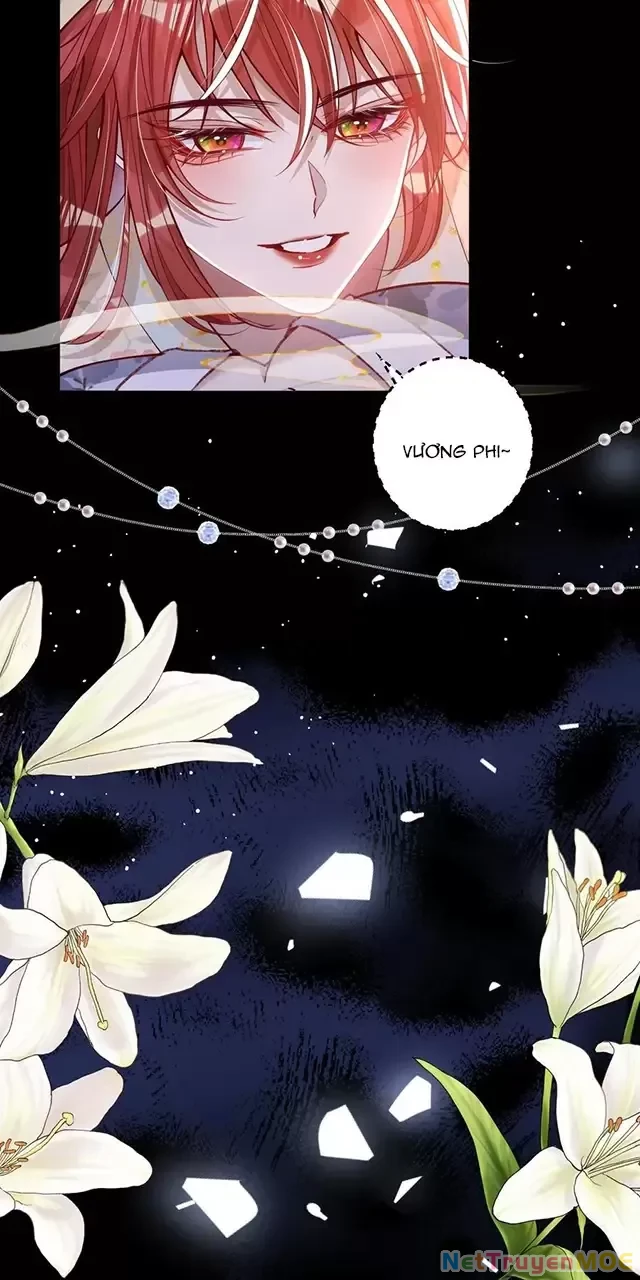 Nuông Chiều Mỹ Nhân Cuồng Nhiệt Chapter 13 - Trang 3
