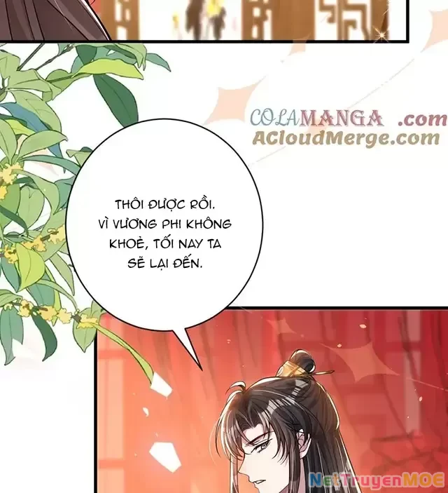 Nuông Chiều Mỹ Nhân Cuồng Nhiệt Chapter 13 - Trang 3