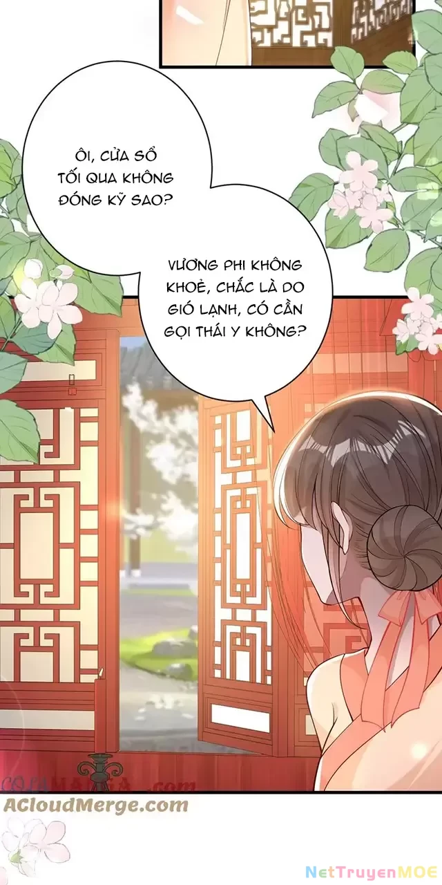 Nuông Chiều Mỹ Nhân Cuồng Nhiệt Chapter 13 - Trang 3