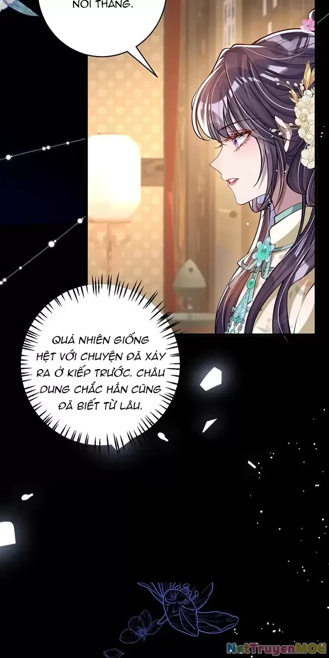 Nuông Chiều Mỹ Nhân Cuồng Nhiệt Chapter 13 - Trang 3