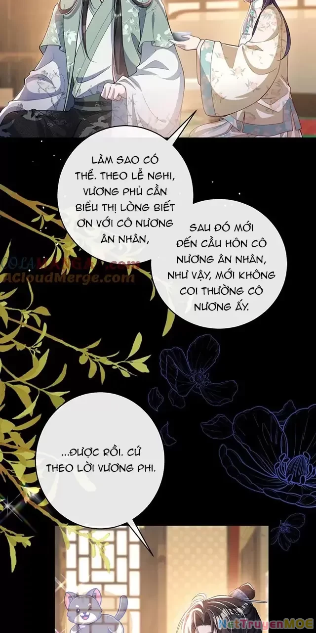 Nuông Chiều Mỹ Nhân Cuồng Nhiệt Chapter 13 - Trang 3
