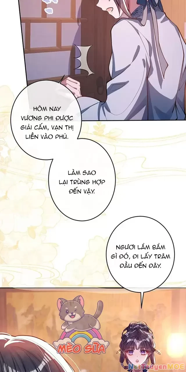 Nuông Chiều Mỹ Nhân Cuồng Nhiệt Chapter 15 - Trang 4