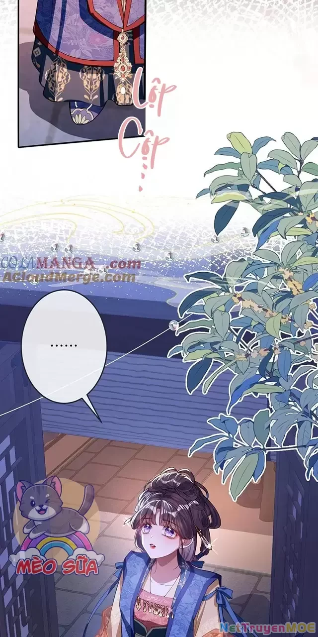 Nuông Chiều Mỹ Nhân Cuồng Nhiệt Chapter 15 - Trang 4