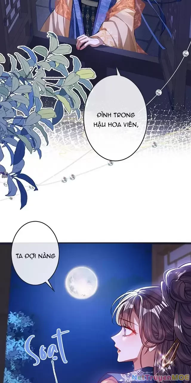 Nuông Chiều Mỹ Nhân Cuồng Nhiệt Chapter 15 - Trang 4